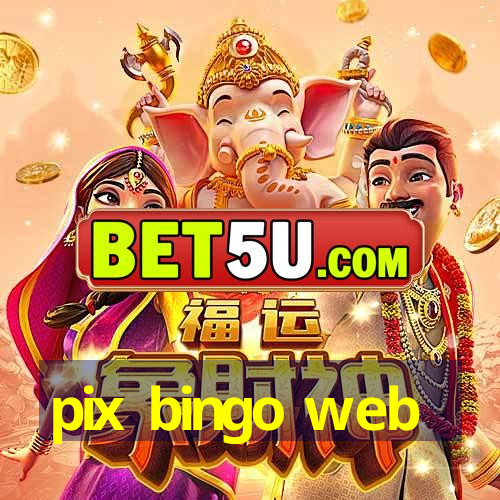 pix bingo web